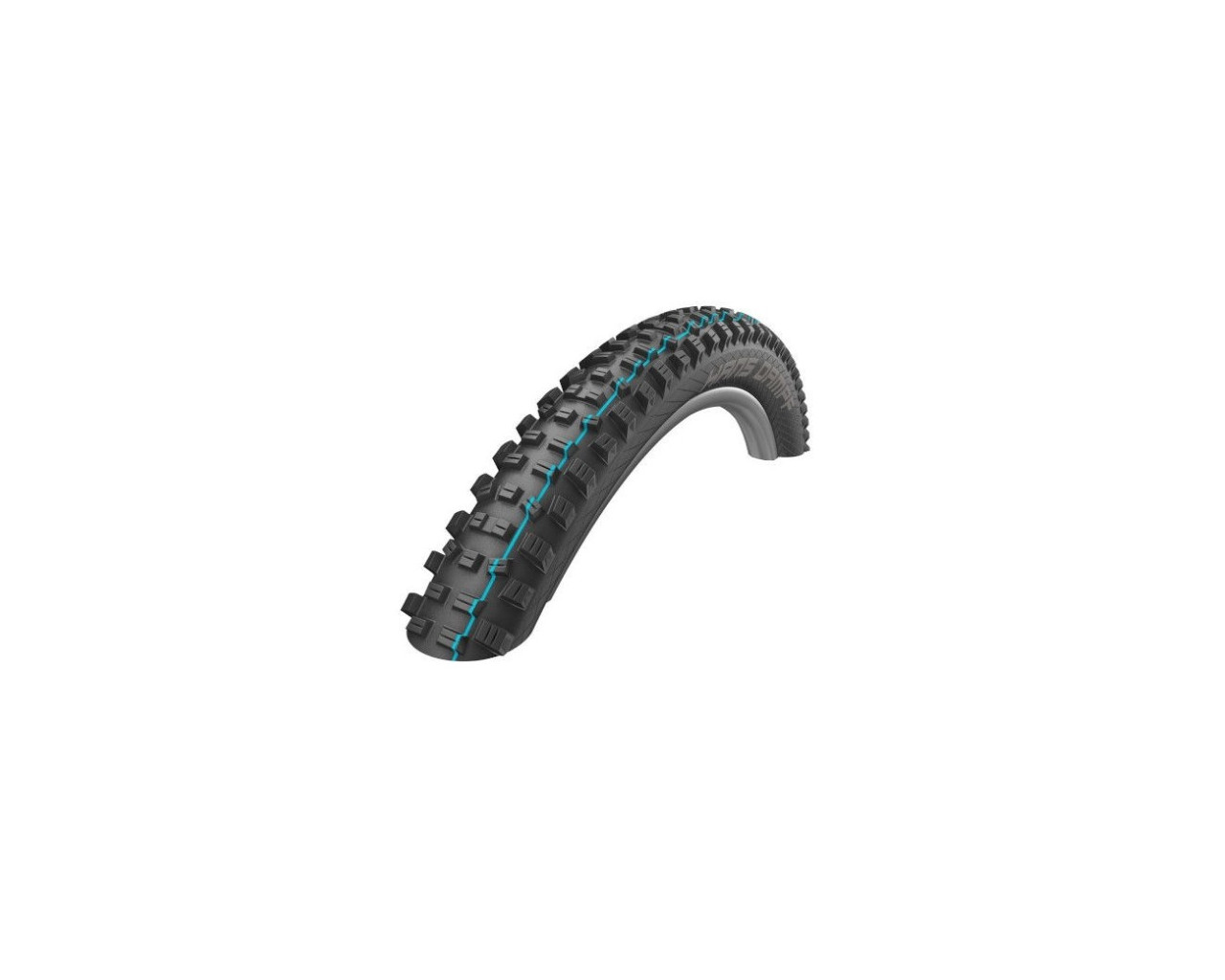 CUBIERTA SCHWALBE HANS DAMPF 29X2.60 SUP.TR. TLE SPEEDGR.