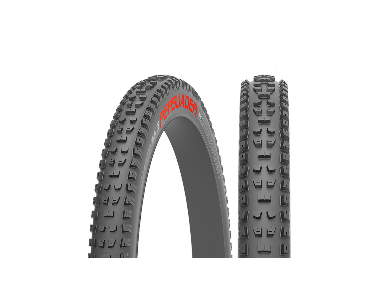 CHAOYANG PERSUADER WET 29X260 120TPI TLR