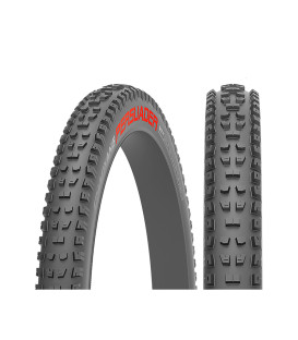 CHAOYANG PERSUADER WET 29X260 120TPI TLR