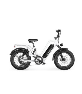 BICI ELECTRICA G-FORCE 20" SRST 750W
