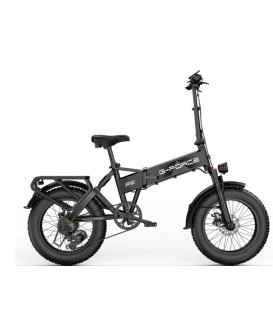 G-FORCE RE 20" 20Ah 120km Dual 75Nm