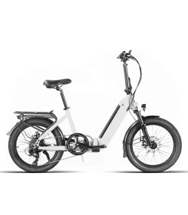 EBIKE PROWEN PLEGABLE 20" MOVE
